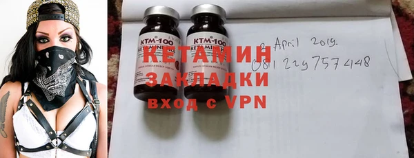 шишки Аркадак