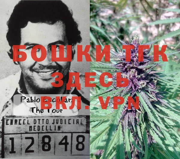 шишки Аркадак