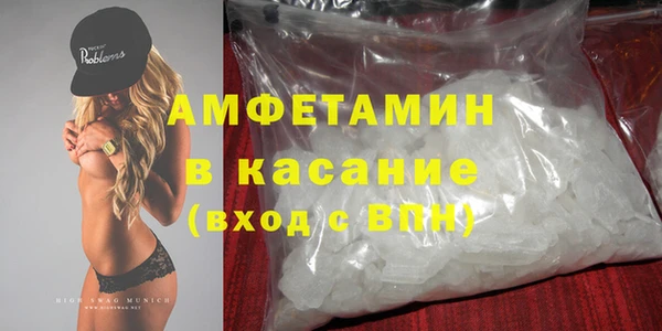 шишки Аркадак