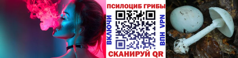 магазин    Нея  Галлюциногенные грибы Magic Shrooms 