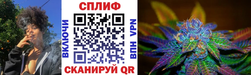 продажа наркотиков Нея Шишки марихуана THC 21%